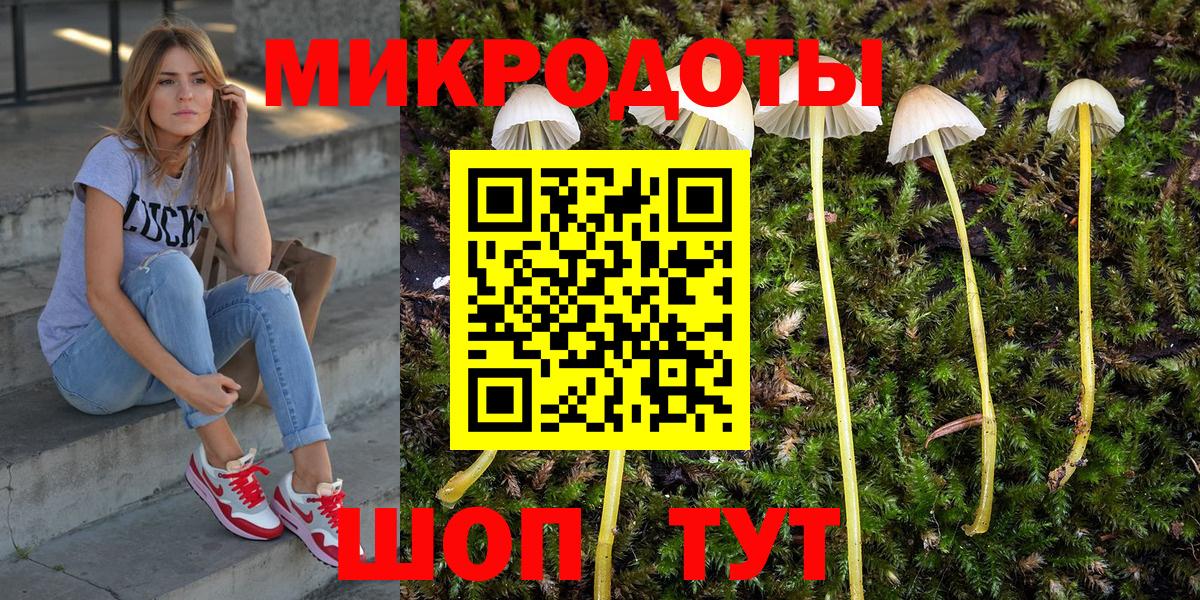 Псилоцибиновые грибы Cubensis Еманжелинск
